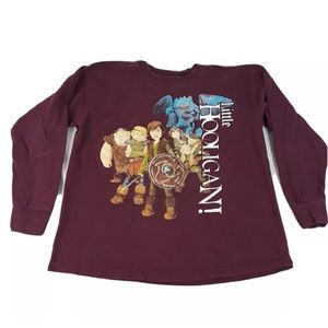 How To Train Your Dragon Tshirt Long Sleeve S 6-7